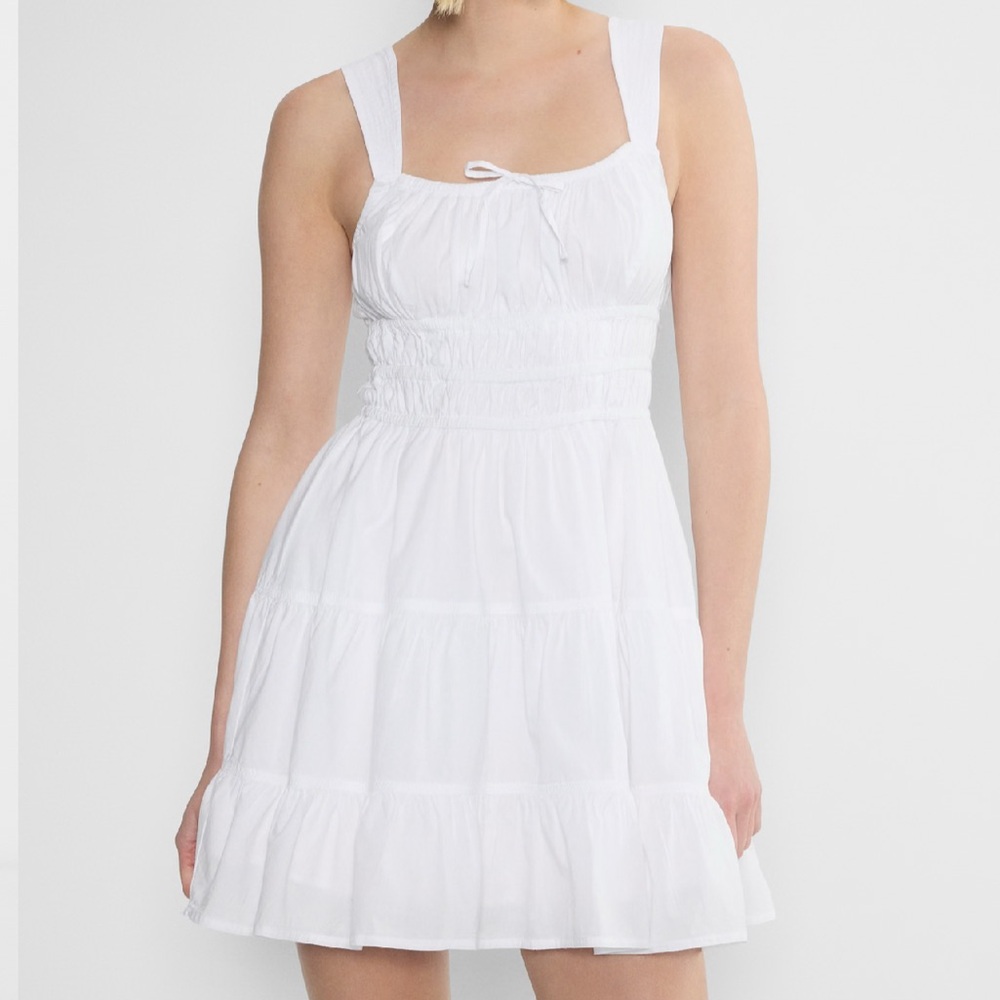 NWT Aritzia Martine Poplin Dress